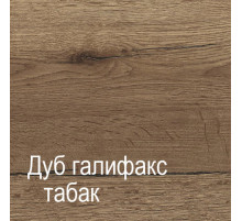 Двухстворчатый шкаф-купе для одежды Г-13 (ДГТ) Гарда с зеркалом